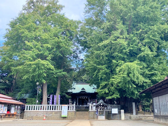 鶴嶺八幡宮・弁慶塚写真