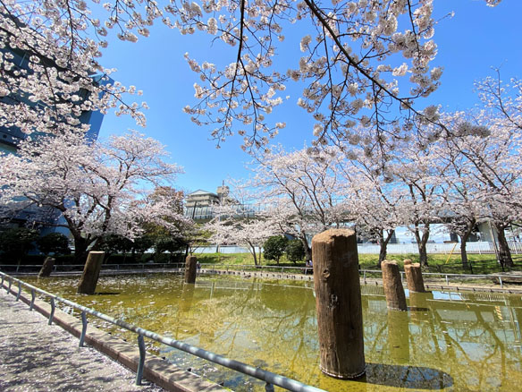 旧相模川橋脚写真